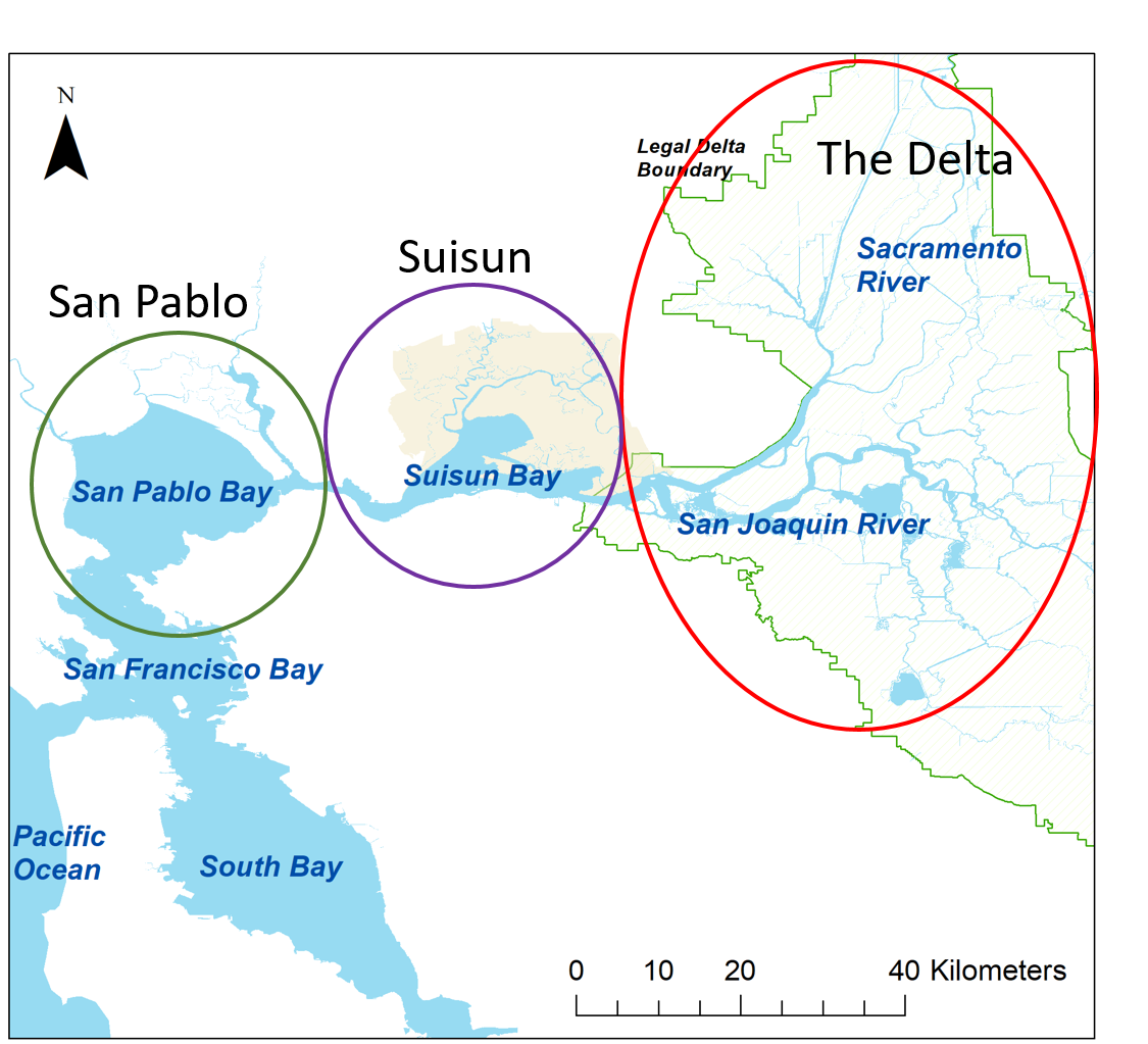 Map of the estuary with circles around San Pablo Bay, Suisun, and the Delta