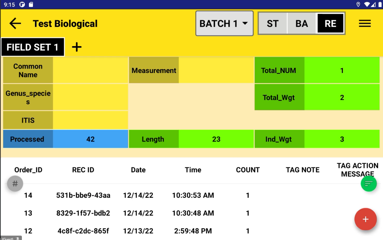 Screen shot of the DCSLinkStream form within the 'Record' layer