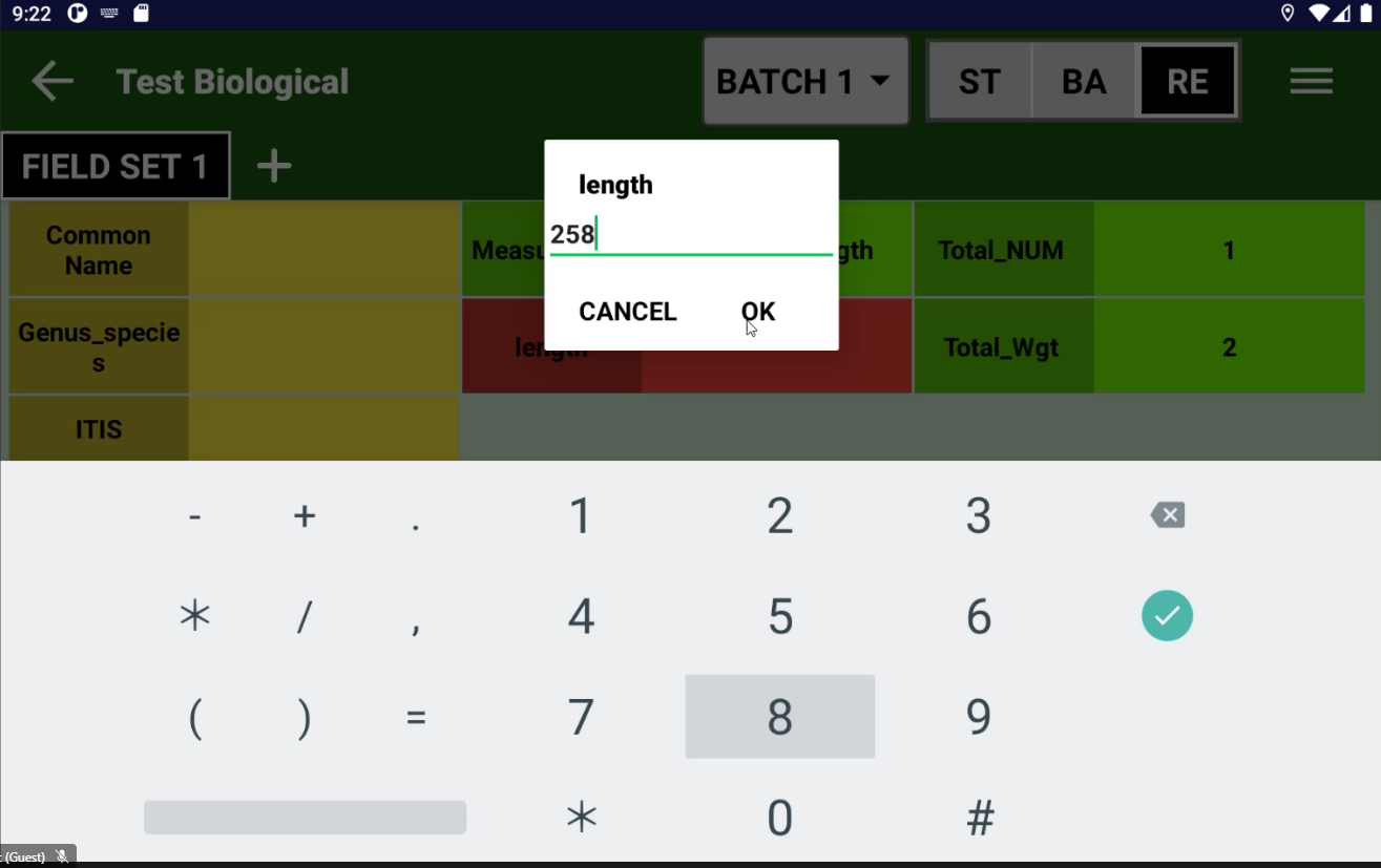 Screen shot of the DCSLinkStream form within the 'Record' layer