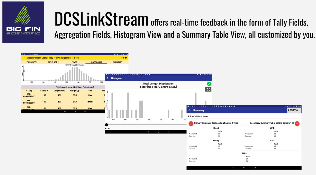 The BigFin software DCSLinkStream provides real-time feedback, both in graphical frequencies and tallied data summaries.