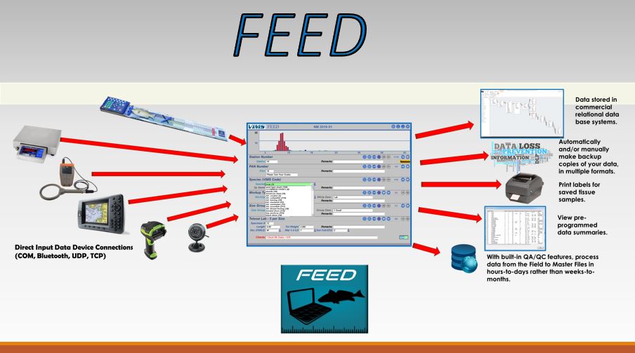 Graphic representation of the various peripheral connections possible with the FEED app devopement tool 